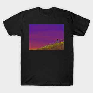 girl in a field (sunset) T-Shirt